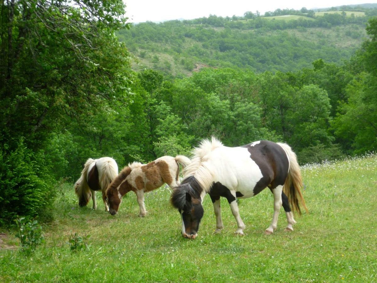 Domaine De Sautou Hotel Castanet  Екстериор снимка